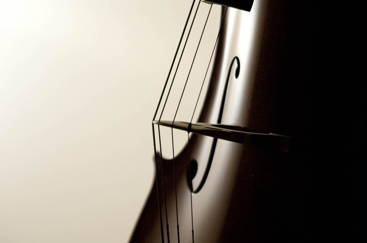 Warm-toned close-up of a cello, bridge, f-hole and strings against a soft cream background